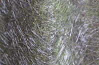 Bellfield fibreglass roof work